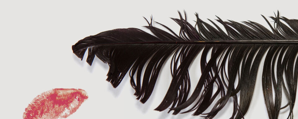 A red fingerprint on the left and black feather on the right against a white background.